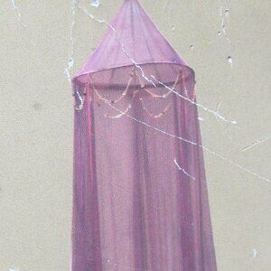 New Creative Purple Beaded Mosquito Canopy Net